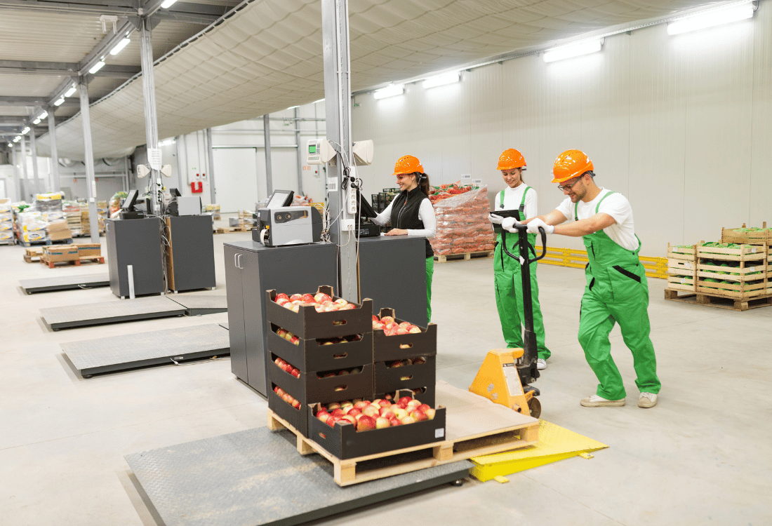 Workers organising food pallets on a food industry flooring in an organic food warehouse.